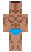 6865 minecraft skin