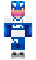 zRoBeRz minecraft skin