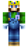 4322277011c666 minecraft skin