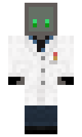 43247c1725a95a minecraft skin