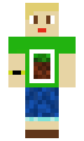 forksmc minecraft skin