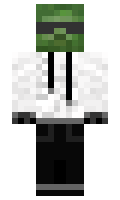 Zawmby minecraft skin