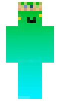 Dragonsreturns minecraft skin