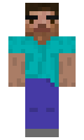 4370bccf6cbef2 minecraft skin