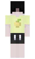 Idktheusername minecraft skin