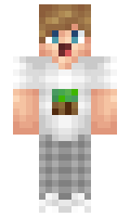 SteveRobot minecraft skin