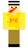 43aee5d5dc580e minecraft skin