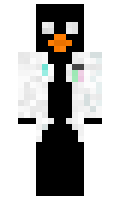 43b3c30532111e minecraft skin