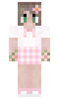 43c82a919e3d12 minecraft skin