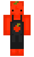 LDG5480 minecraft skin