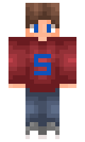 44310e6c48dc98 minecraft skin