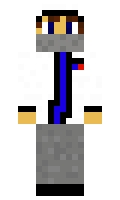 warever minecraft skin