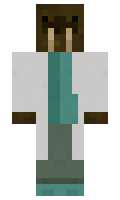 pengen minecraft skin