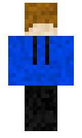 WILL3MINE minecraft skin