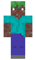 rm50 minecraft skin