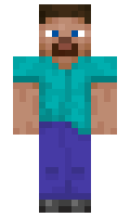 dirt10 minecraft skin