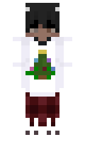 troli minecraft skin