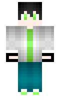 30206 minecraft skin