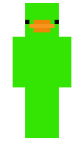 45449592b93336 minecraft skin