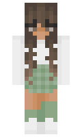 455ce648ac6fb0 minecraft skin