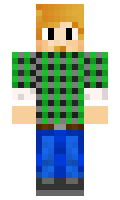 Bassur minecraft skin