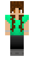 456f6ee54c4cb8 minecraft skin