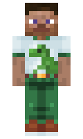 458aca7957c7bd minecraft skin