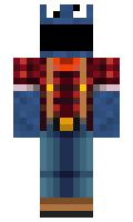 Sandy minecraft skin