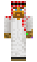NG4L minecraft skin