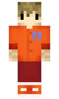 4601e6d006011c minecraft skin