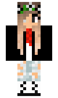 460c684044b5dd minecraft skin
