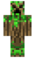 Rishigamer minecraft skin