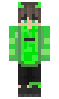 4626b733c9f93e minecraft skin