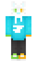 segn minecraft skin