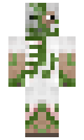 46682aa50b61b0 minecraft skin