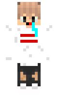 funiel minecraft skin