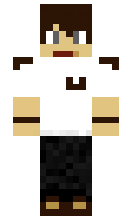 Fest minecraft skin