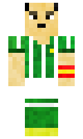 Trex109HighPro minecraft skin