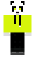 map minecraft skin