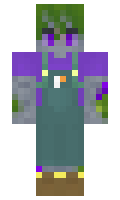 GooseTen minecraft skin