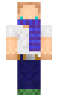 WIL minecraft skin