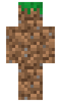 46fd51579b29af minecraft skin