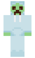 471ed461cb7d94 minecraft skin