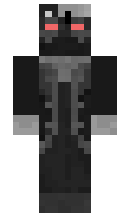 Boardee minecraft skin