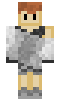 473ac826ee581c minecraft skin