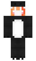 legofrogs minecraft skin