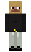 8510 minecraft skin