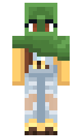 4769a074d48978 minecraft skin