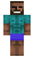478d2dce029abc minecraft skin