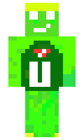 tomb1611 minecraft skin